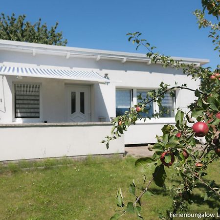 Ferienwohnung In Bodden & Ostsee Naehe サガルト エクステリア 写真