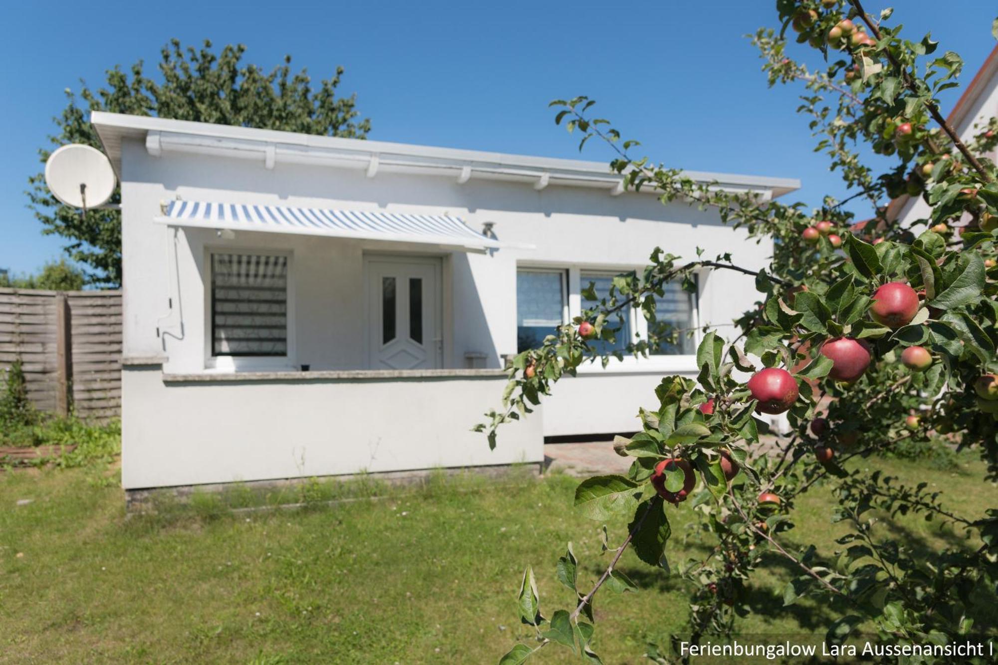 Ferienwohnung In Bodden & Ostsee Naehe サガルト エクステリア 写真
