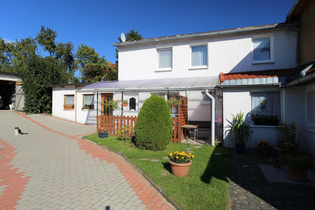 Ferienwohnung In Bodden & Ostsee Naehe サガルト エクステリア 写真